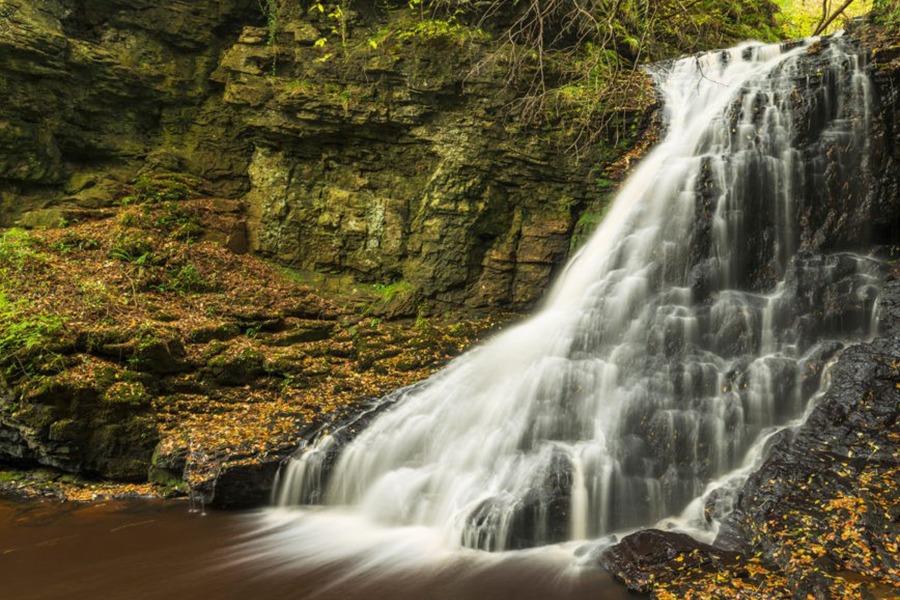 What's On • Northumberland National Park